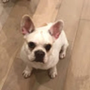 Meet your Posher, Leighton